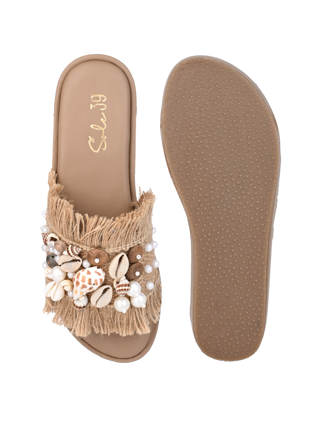 Shell Seeker Slides
